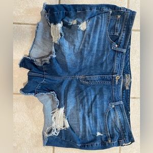 Torrid shorts